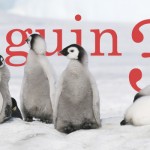 Penguin 3.0 Novità