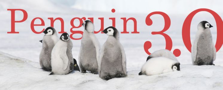 Penguin 3.0 Novit&agrave;